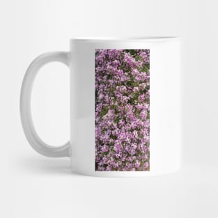 Purple alyssum Mug